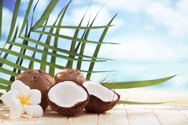 Bahan Baku Kelapa Alami Berkualitas